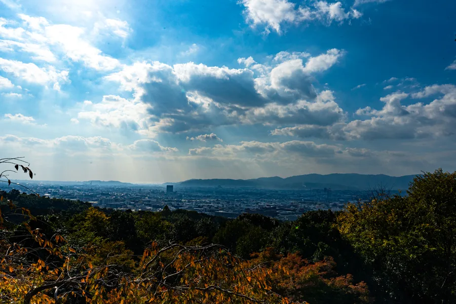Land + Sky — photo 12