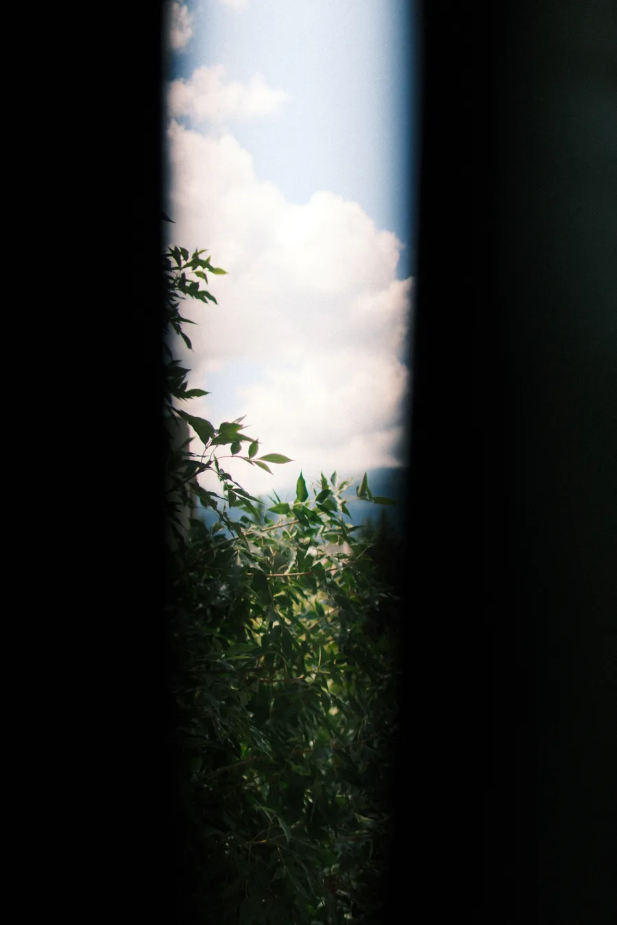 Land + Sky — photo 1