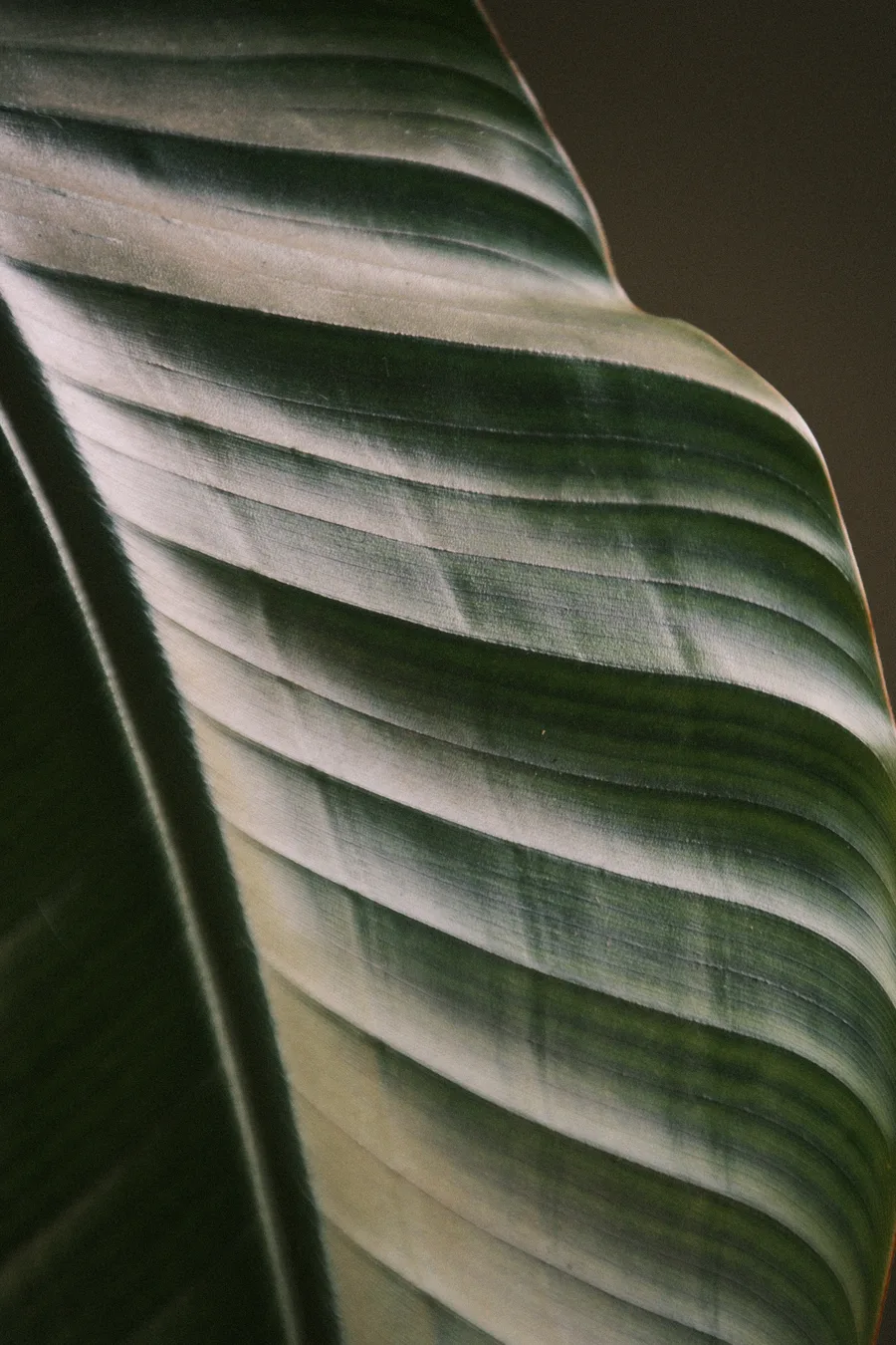 Textures + Objects — photo 5