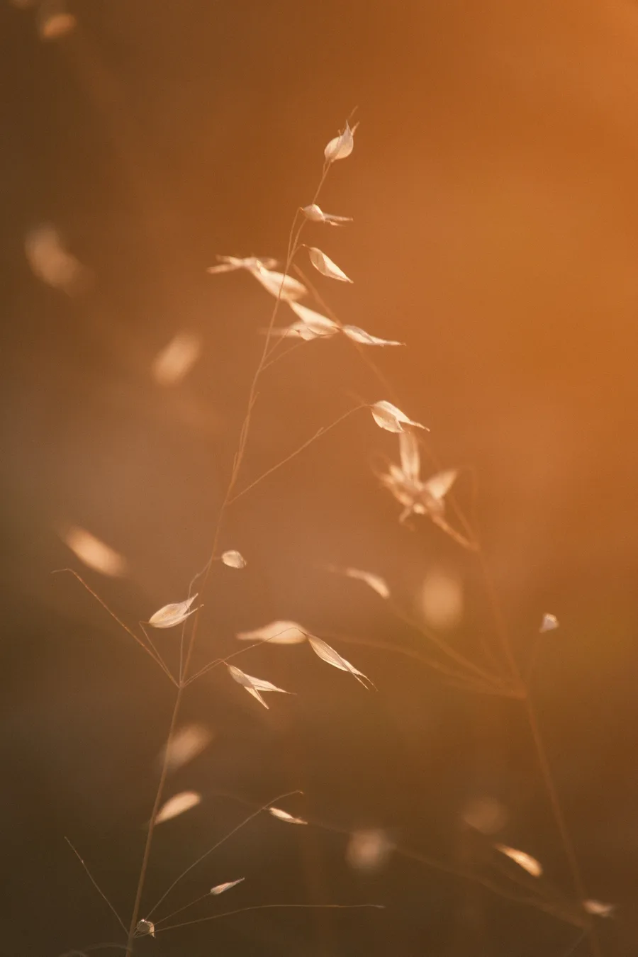 Textures + Objects — photo 9
