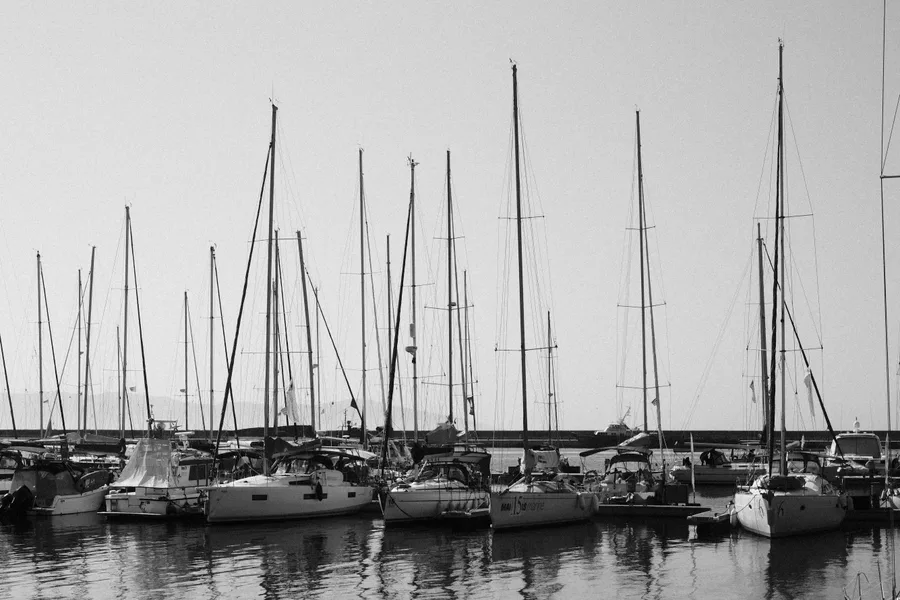 Black + White — photo 2