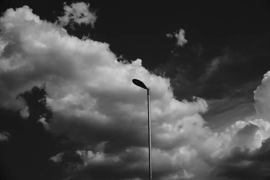 Black + White — photo 5
