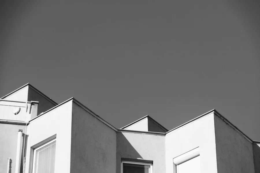 Black + White — photo 6