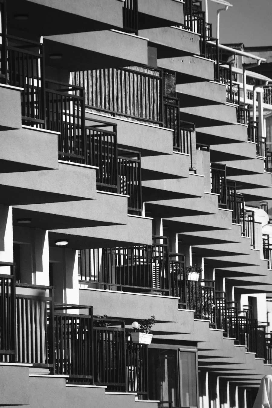 Black + White — photo 7
