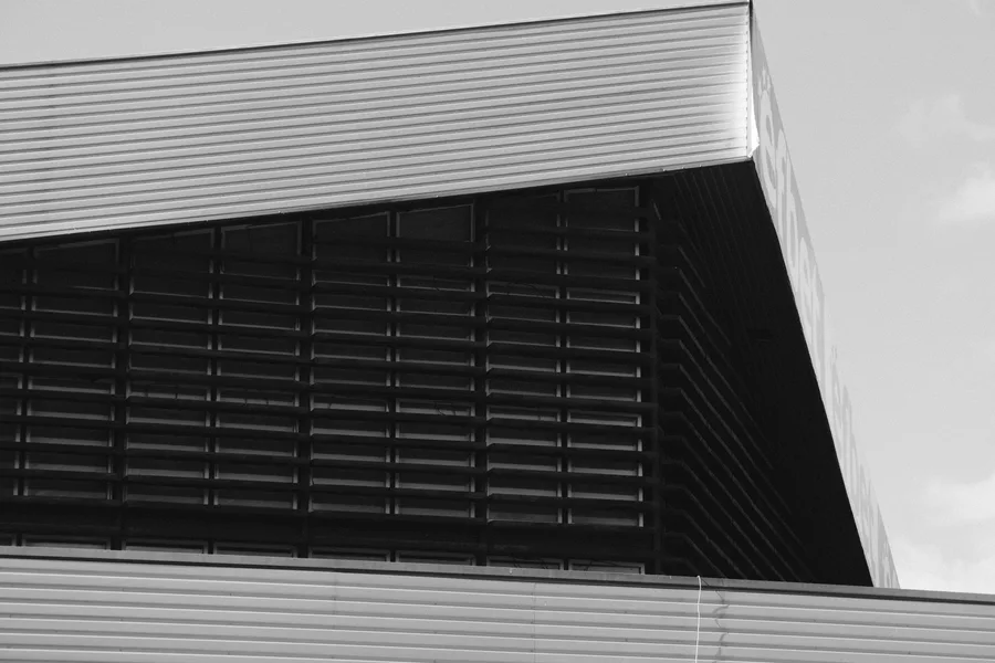 Black + White — photo 8